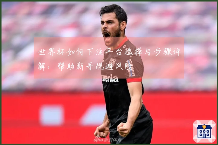 世界杯如何下注平台选择与步骤详解，帮助新手规避风险