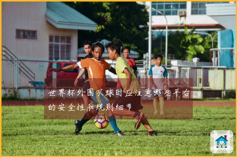世界杯外围买球时应注意哪些平台的安全性和规则细节