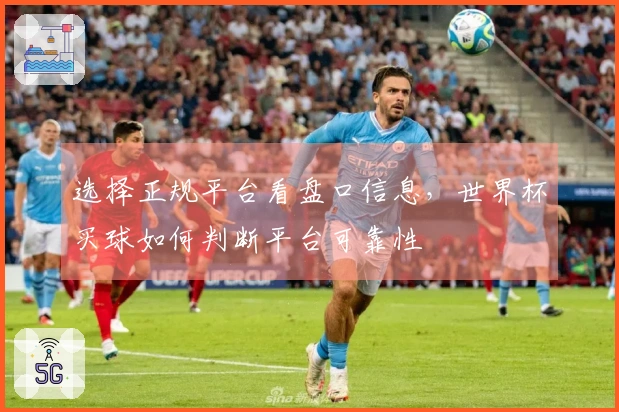 选择正规平台看盘口信息，世界杯买球如何判断平台可靠性