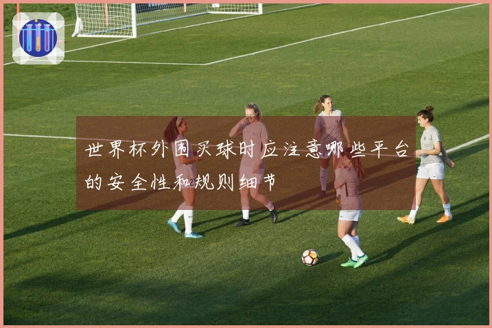 世界杯外围买球时应注意哪些平台的安全性和规则细节