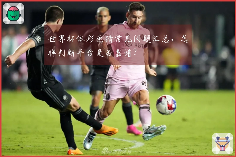 世界杯体彩竞猜常见问题汇总，怎样判断平台是否靠谱？