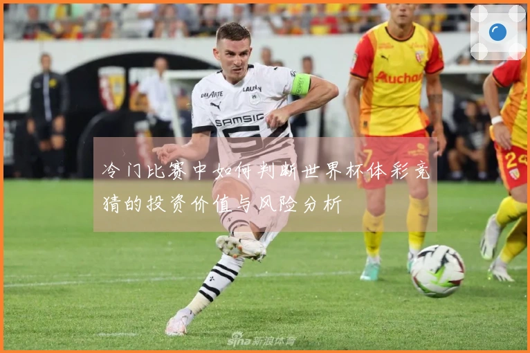 冷门比赛中如何判断世界杯体彩竞猜的投资价值与风险分析