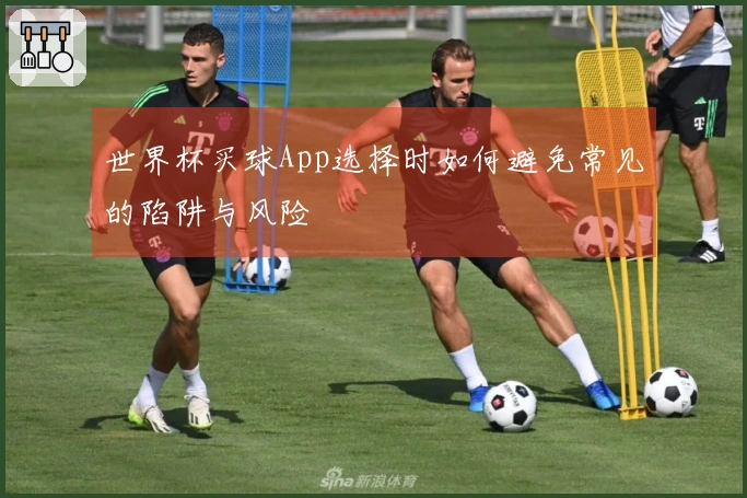 世界杯买球App选择时如何避免常见的陷阱与风险