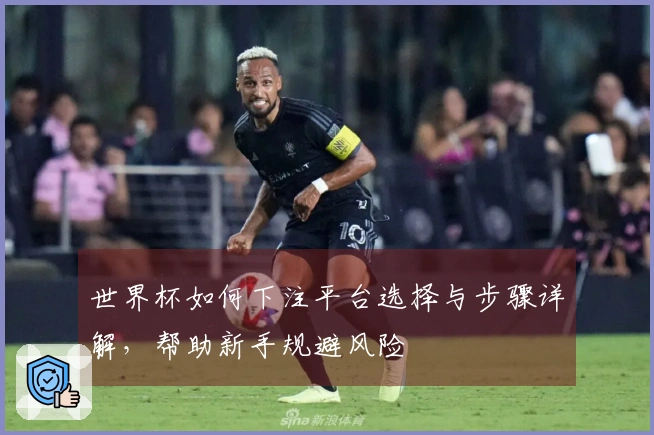 世界杯如何下注平台选择与步骤详解，帮助新手规避风险